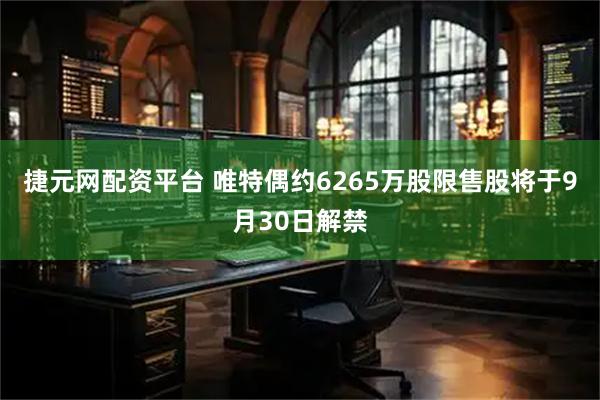 捷元网配资平台 唯特偶约6265万股限售股将于9月30日解禁